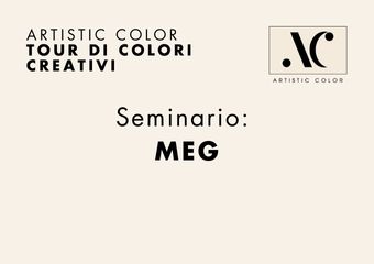 Artistic Color Seminare MEG